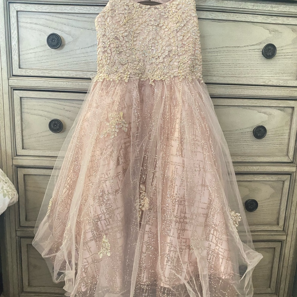 Elegant Pink and Gold Kids Dress